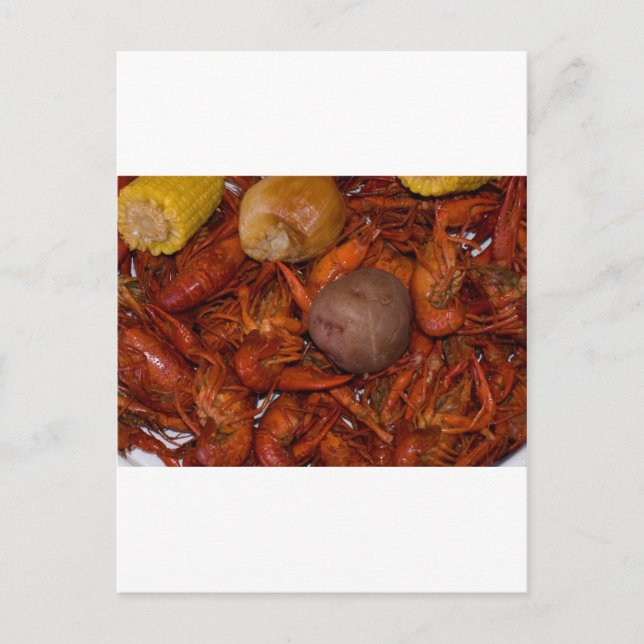boiled crawfish postcard (Front)
