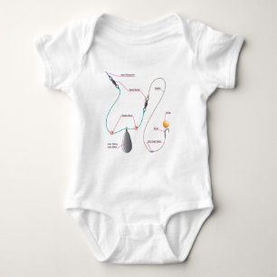Boilie setup diagram for Carp fishing Baby Bodysuit
