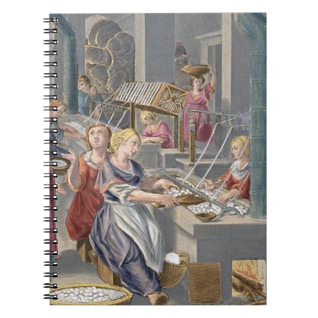 Boiling the Cocoons to Destroy the Chrysalids and Notebook (Front)