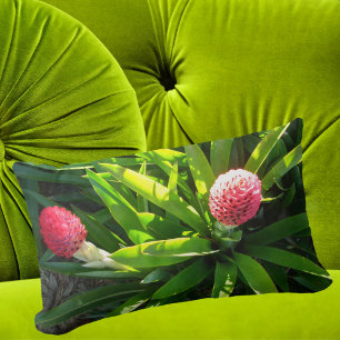 Bok Tower Garden Pink Tropical Flower - Bromeliad Lumbar Cushion