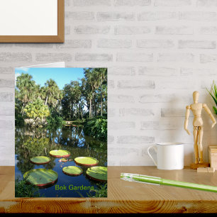 Bok Tower Gardens Florida - Water Lilies
