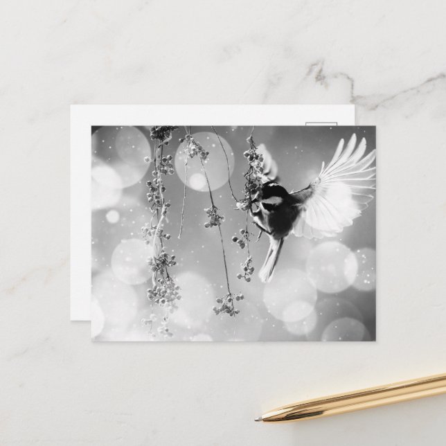 Bokeh Bubbles Flying Hummingbird - B&W Postcard (Front/Back In Situ)