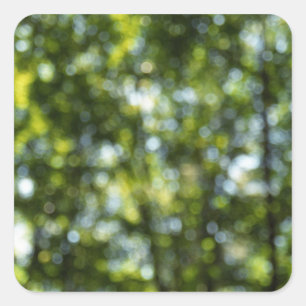 Bokeh in Spring Square Sticker