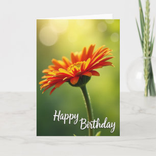 Bokeh Light Birthday Card