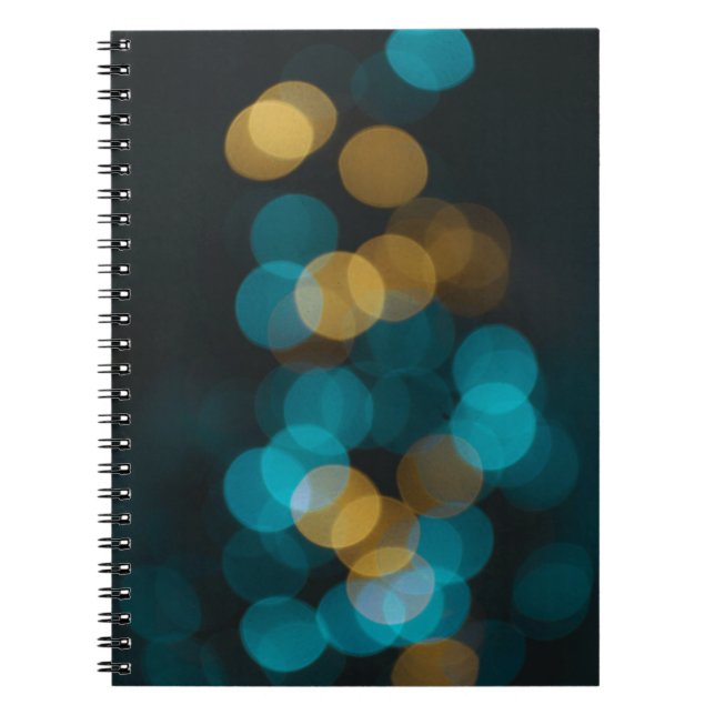 Bokeh Notebook (Front)