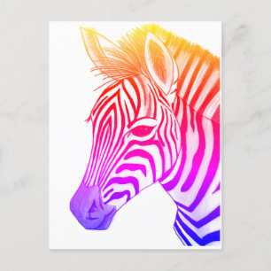 Bold and colourful zebra drawing postcard