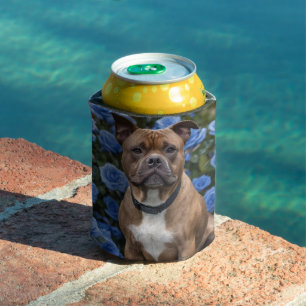 "Bold Beauty: A Brown Staffy in a Blue Rose Garden Can Cooler