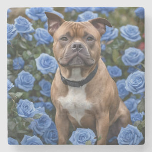 "Bold Beauty: A Brown Staffy in a Blue Rose Garden Stone Coaster