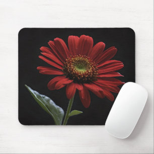 "Bold Beauty: A Single Red Daisy on Black" Mouse Pad