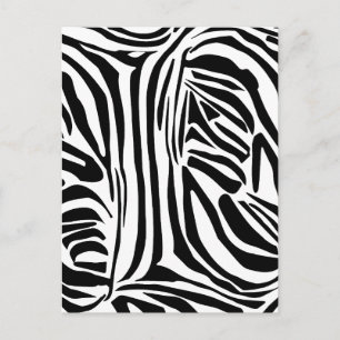 Bold Black and White Zebra Print Pattern Holiday Postcard