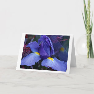 Bold Blue Iris Note Card Sets