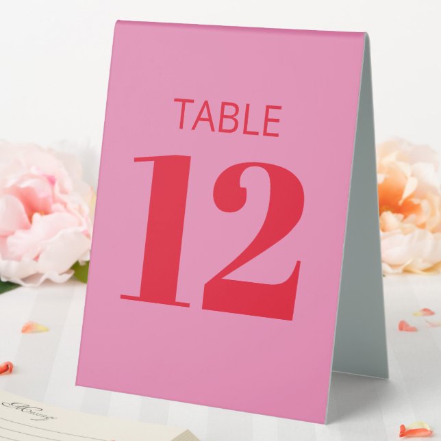 Bold Bright Pink and Red Modern Reception (In SItu (Wedding))