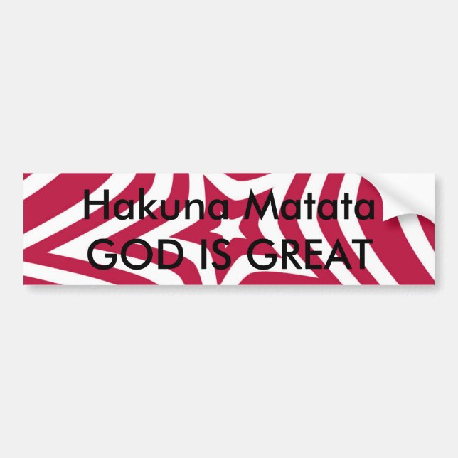 Bold & Bright Red & White Star in a Vector Pattern Bumper Sticker (Front)