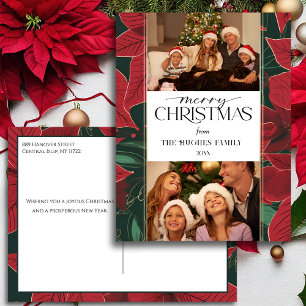 Bold Christmas Poinsettia Botanical 2-Photo Holiday Postcard