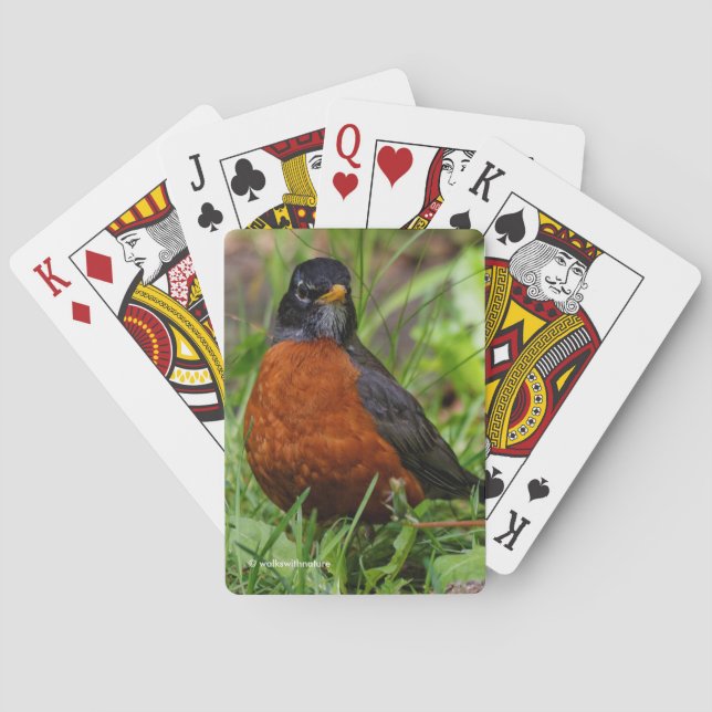 Bold Curious American Robin in Green Grass Playing Cards (Back)