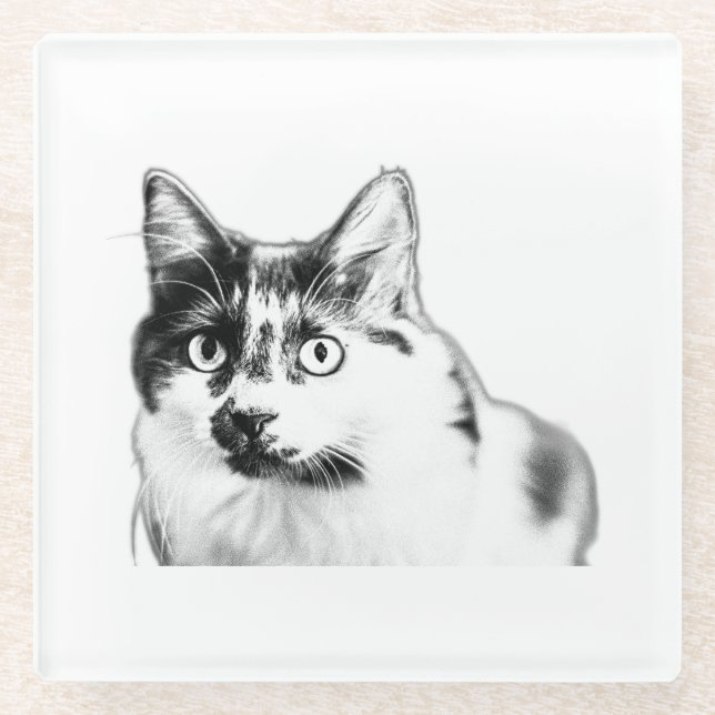 Bold Curious Cat Ink Coaster (Front)