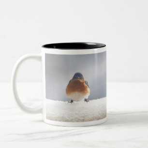 Bold Eastern BlueBird Two-Tone Coffee Mug