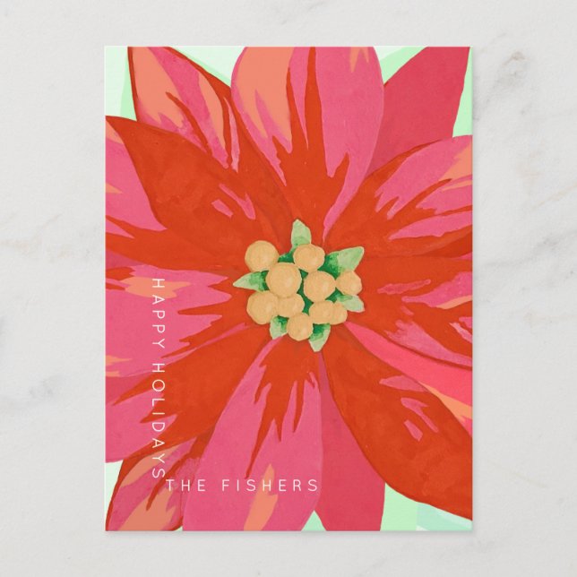 Bold, hand-painted poinsettia custom design postcard (Front)