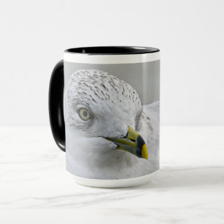 Bold Iconic Ring Billed Gull Georgia Photography   Mug