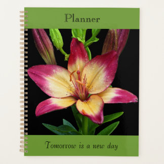 Bold Lily Planner