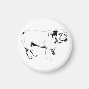 bold line guard, bulldog magnet