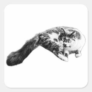 Bold Long‑Tail Cat Sticker