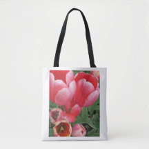 bold pink tulip flowers photo