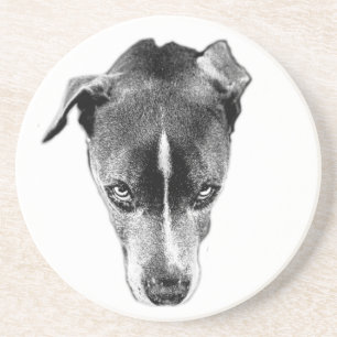 Bold Pitbull Mix Gaze Modern Art Coaster
