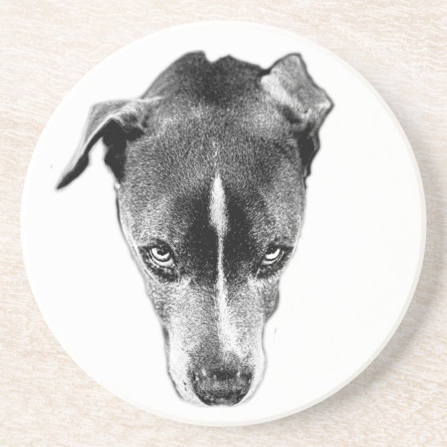 Bold Pitbull Mix Gaze Modern Art Coaster (Front)