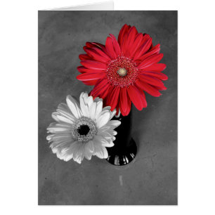 Bold Red Colour Splash Gerber Daisy Cover Photo