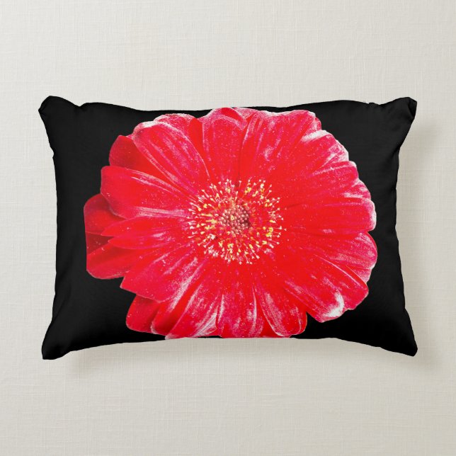 Bold Red Gerbera Daisy Black Accent Pillow (Front)