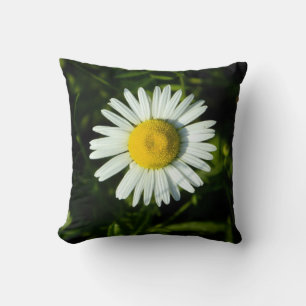 Bold Shasta Daisy Pillow