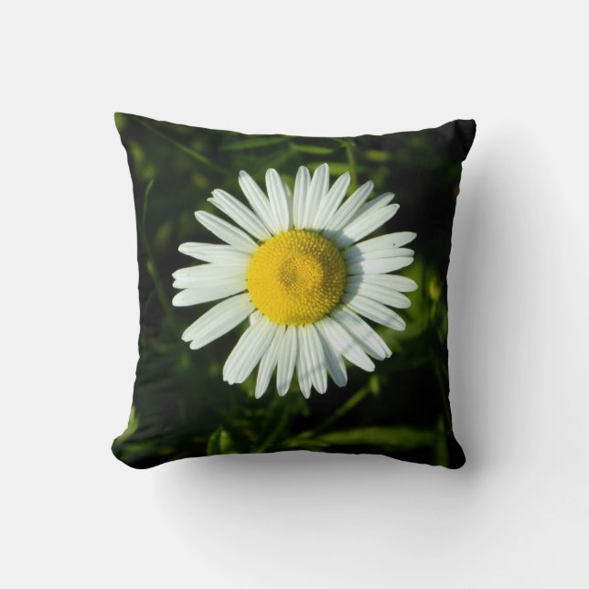 Bold Shasta Daisy Pillow (Front)