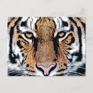 Bold Tiger Portrait Graphic Press Style Postcard