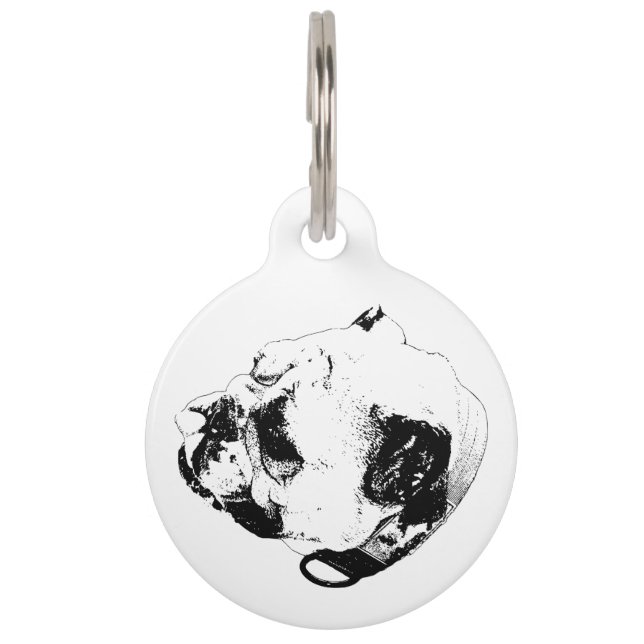 Bold Warm Companion Pet Tag (Front)