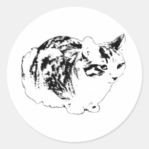 Bold Winter Tabby in Loaf Classic Round Sticker