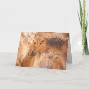 Bolder's Rise Greeting Card