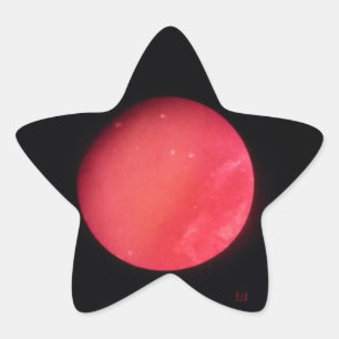 Boldness and adversity star sticker