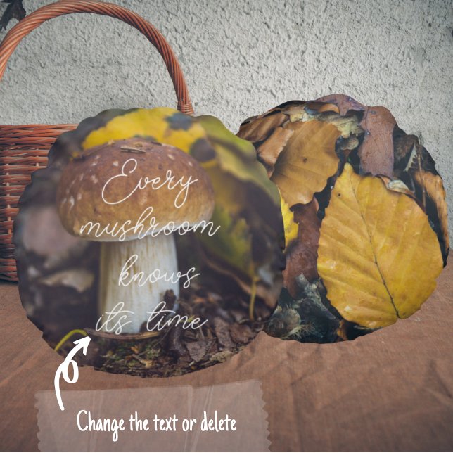 Bolete mushroom with yellow leaves round cushion (Creator Uploaded)