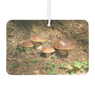 boletus car air freshener