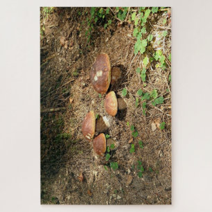 boletus jigsaw puzzle