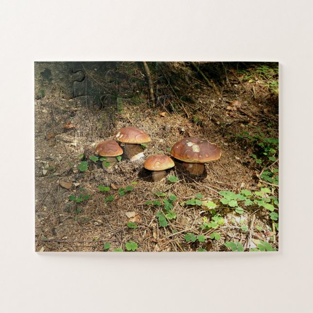 boletus jigsaw puzzle (Horizontal)