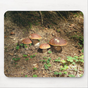 boletus mouse pad