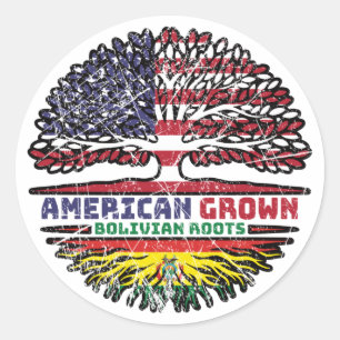 Bolivia Bolivian US American USA United States Classic Round Sticker