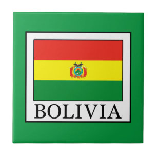 Bolivia Ceramic Tile