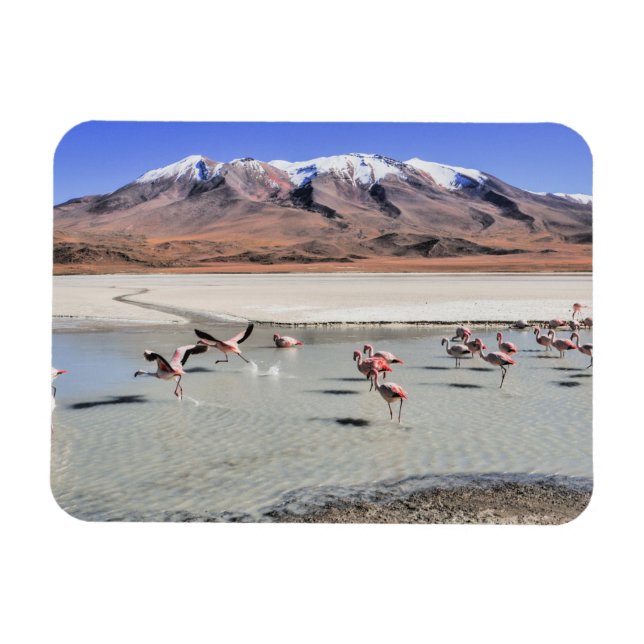 Bolivia landscape photograph magnet (Horizontal)