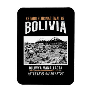 Bolivia Magnet