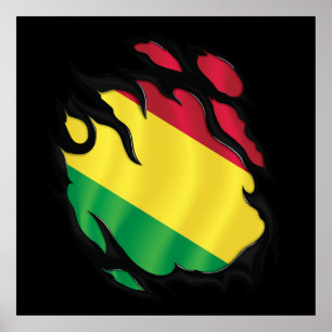 Bolivia Ripped Flag Poster