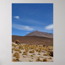 Bolivian Altiplano Desert Landscape