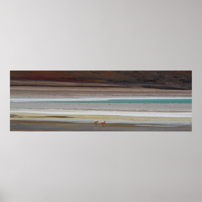 Bolivian Lagoon with Flamingos - Photograph Poster (Front)